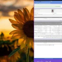 کافی نت کارنت