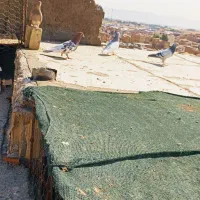 بهبهانی شهری هوایی
