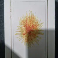 آیفون5s