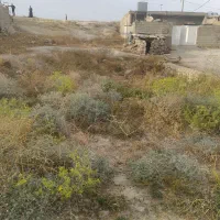 زمین|فروش زمین و ملک کلنگی|مسجد سلیمان, |دیوار
