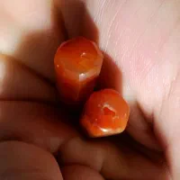 مهره|کلکسیون اشیاء عتیقه|زاهدان, |دیوار