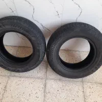 ۲حلقه لاستیک بارزپیکانی