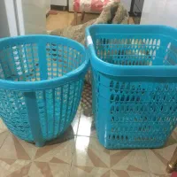 سبد