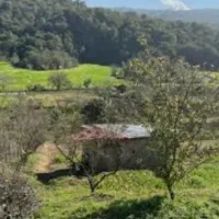 ۶۵۰ متر زمین مسکونی