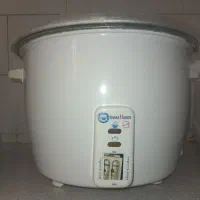 آرام پزبرقی