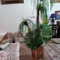گلدون بزرگ