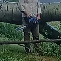 خرید انواع درخت