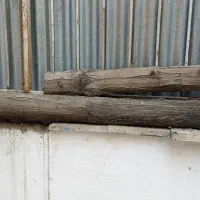 ۴ عدد تنه خشک شده درخت عرعر