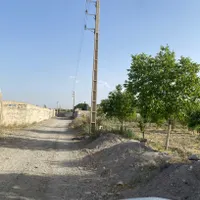 باغ و باغچه از ۲۵۰ متر با آب لوله کشی|فروش دفتر صنعتی، کشاورزی، تجاری|تهران, وحیدیه|دیوار