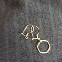 لنگ گوشواره گمشده