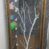 روفه پرنده