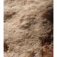 20 انبار کاه جو دیم