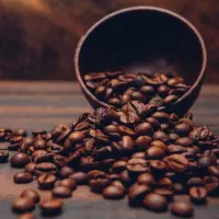 فروش قهوه