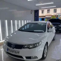 کارشناسی و تشخیص رنگ امیر ابنوی