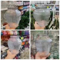 گلدان شیشه ای بلور استند گمج گلدان بامبو پتوس یشم