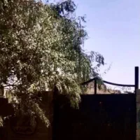 زمین