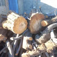 خرید  چوب خشک و تر