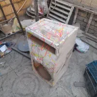 باکس باند