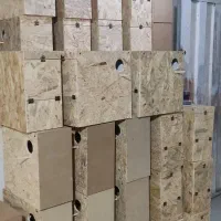 لانه گرینچیک و عروس هلندی