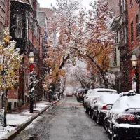 یک کیف حاوی مدارک و کارت ملی گمشده