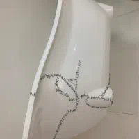 وان برای شستشوی حیوانات