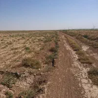فروش-زمین-کشاورزی