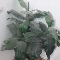 درختچه مصنوعی