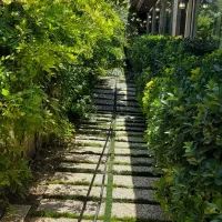 رهن و اجاره باغ رستوران در ورامین