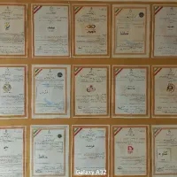 ثبت، تغییرات شرکت و ثبت برند