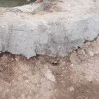 اردک پروازی