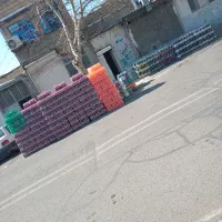 پخش نوشیدنی