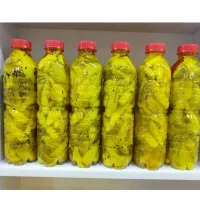ترشی بیلهر یاسوج