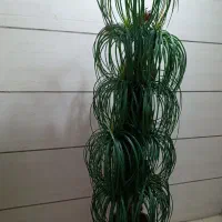 درخت نخل مصنوعی