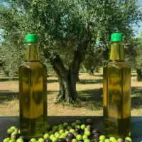 روغن زیتون اصل طارم
