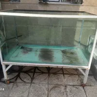 آکواریوم غزل آلا فروشگاهی
