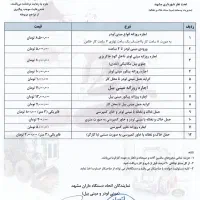 توماس بابکت مینی لودر