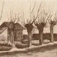 طبیعت