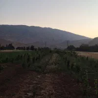 باغ