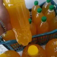 آبغوری محلی و ارگانیک پخش عمده و جزئی