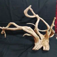 پمپهوا و درختچهی تزئینی آکواریوم