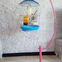 عروس هلندی