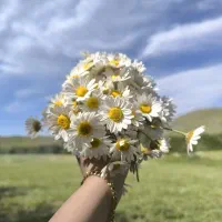 آموزشگاه هنرهای تجسمی