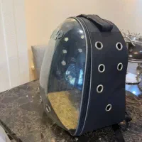 باکس گربه