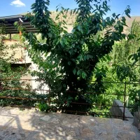 ویلایی-250-مناسب-انبار-خیابان-امام-رضا-حامدطلوع