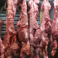 گوشت سر و صورت گوساله