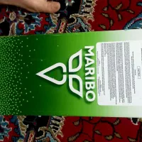 بذر چغندر اصل