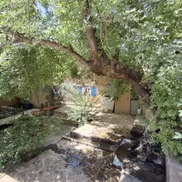 سینما زیر بارش شهابی برساوشی چند قدمی  مشهد