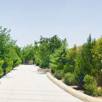 زمین-پلاک-500-متری-زیر-قیمت-کل-شیراز-دلالی