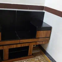 زیر تلوزیون