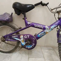 دوچرخه ۱۶